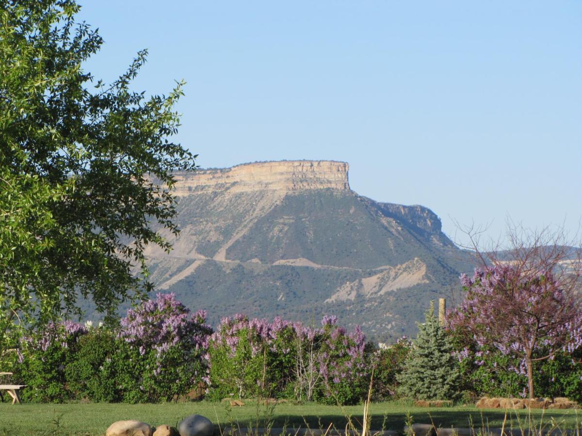 Starry Nights Ranch Bed & Breakfast Mancos Exterior foto